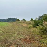 Social Plains Rd Mini Farm Lot 1