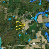 Social Plains Rd Mini Farm Lot 1 images 3