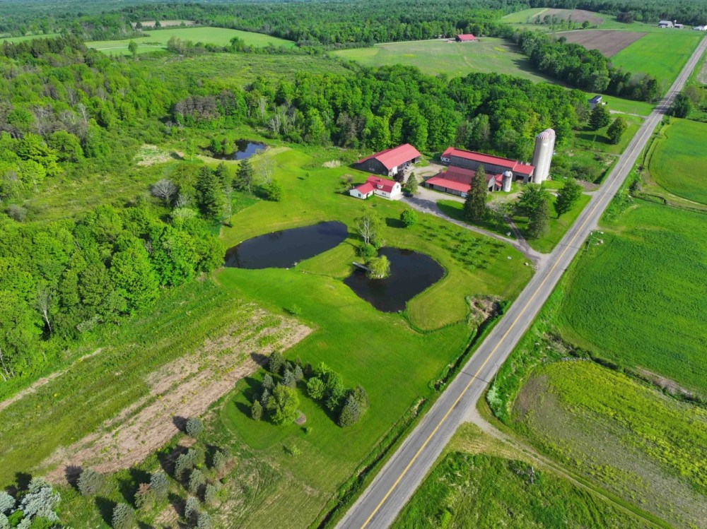 60 acres House Two Barns Heated Shop Ponds Orchard and FREE GAS in Dewittville NY 7057 Beech Hill Rd featured image