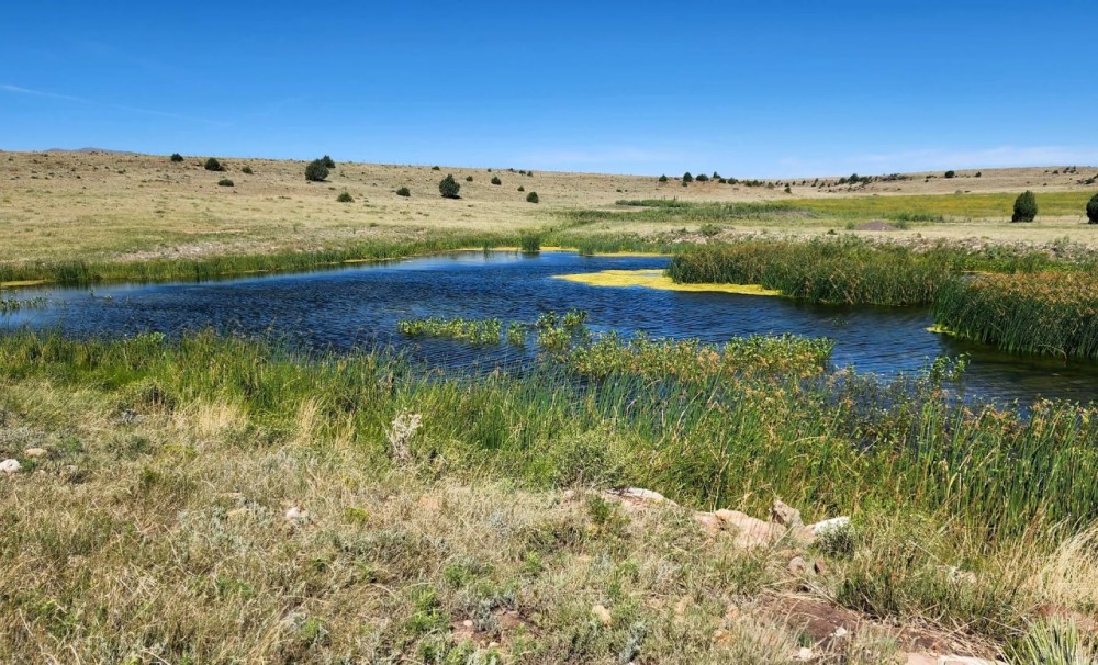 Hi Lo Springs Ranch featured image