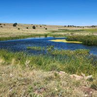 Hi Lo Springs Ranch
