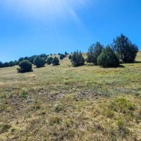 Hi Lo Springs Ranch images 3