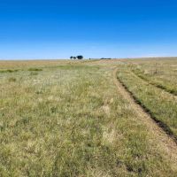 Hi Lo Springs Ranch images 5
