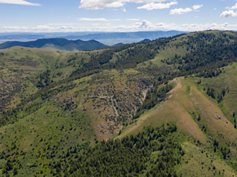 East Dempsey Creek Hideaway featured image