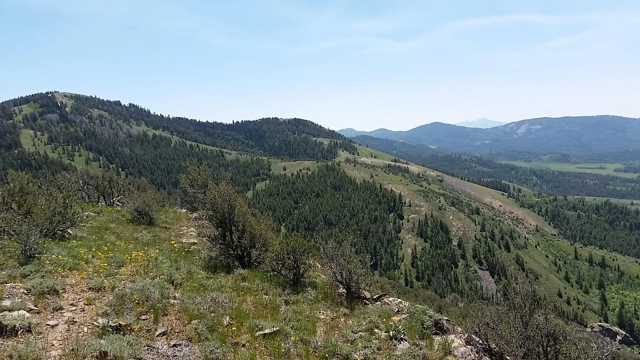 East Dempsey Creek Hideaway Hunting Land for Sale