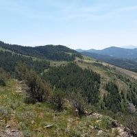 East Dempsey Creek Hideaway images 3
