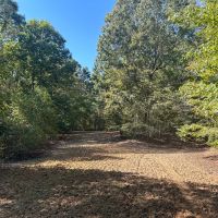 292 Acres in Tallahatchie County MS images 3