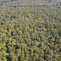 292 Acres in Tallahatchie County MS images 5