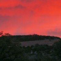 Balcones Canyonlands NWR of 520 Acres in Travis, TX