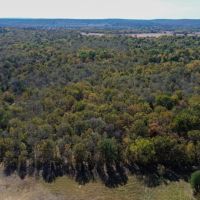 Eufaula 80 images 2
