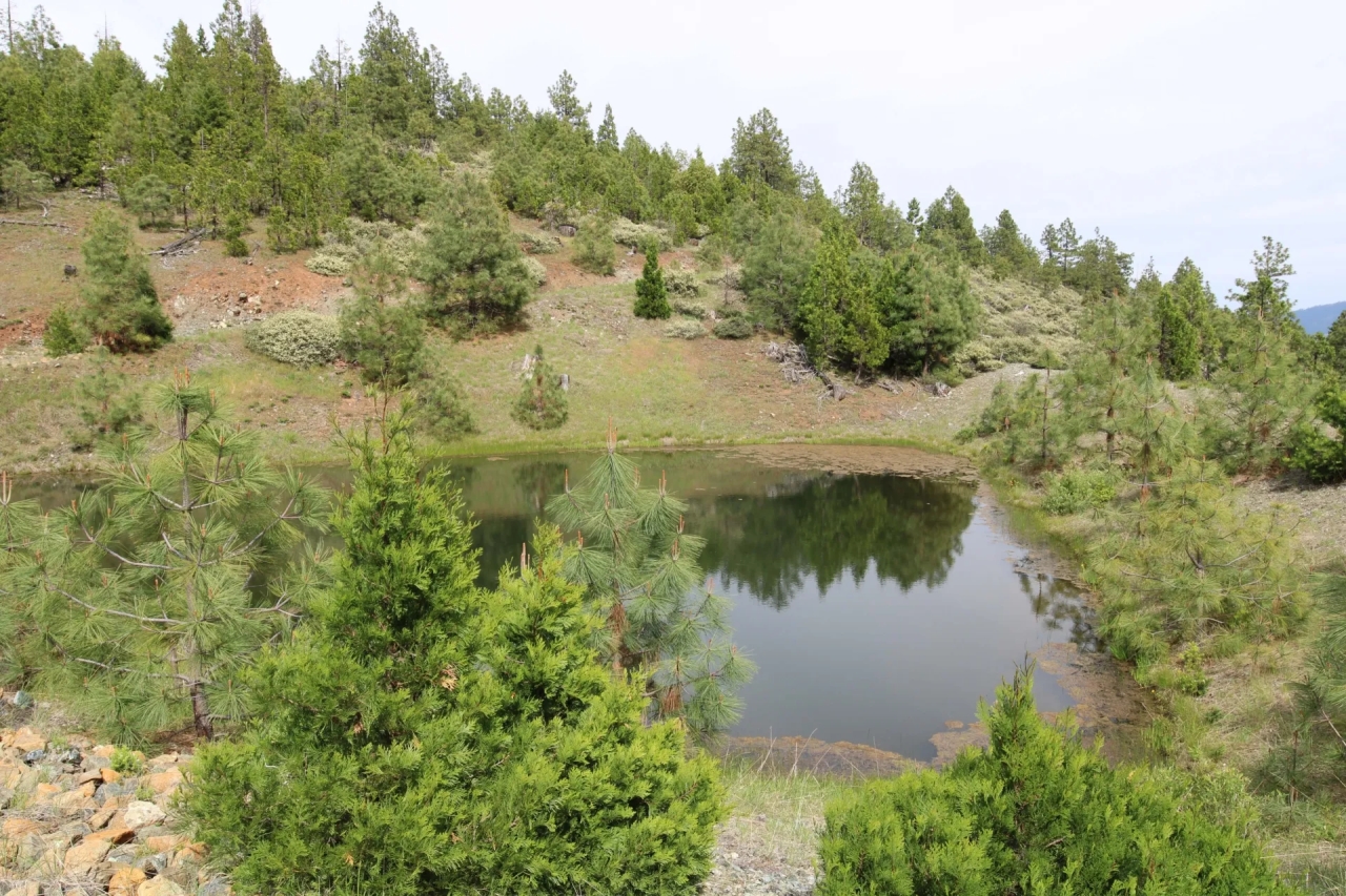 Nickel Mountain Ranch Hunting Land for Sale