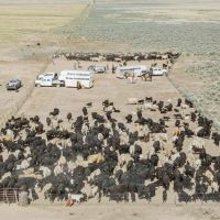 Vance Ranch images 2