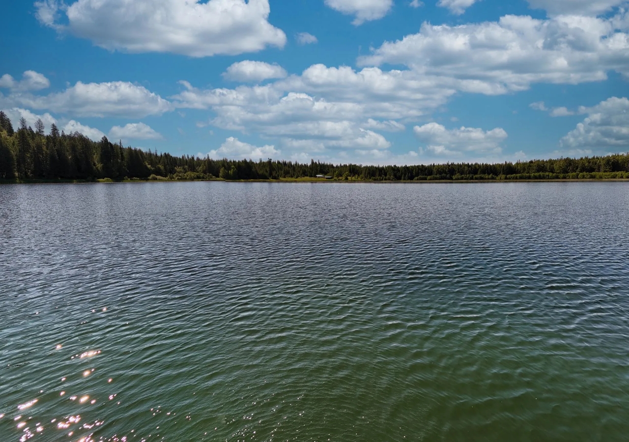 Mountain Meadows Lake Hunting Land for Sale