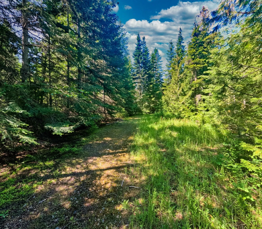 Mountain Meadows Lake Hunting Land for Sale