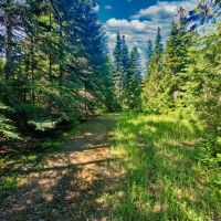 Mountain Meadows Lake images 5