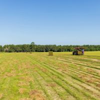 Greenville Farm Timberland images 2