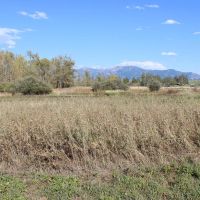 Bridger View on Love Lane images 3
