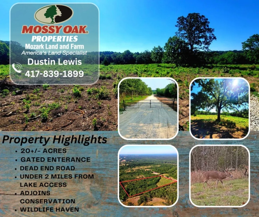 20 Acres Close to Pomme De Terr Lake featured image