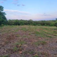 20 Acres Close to Pomme De Terr Lake images 4