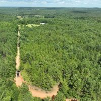 38 Acre Farm in Verbena images 3