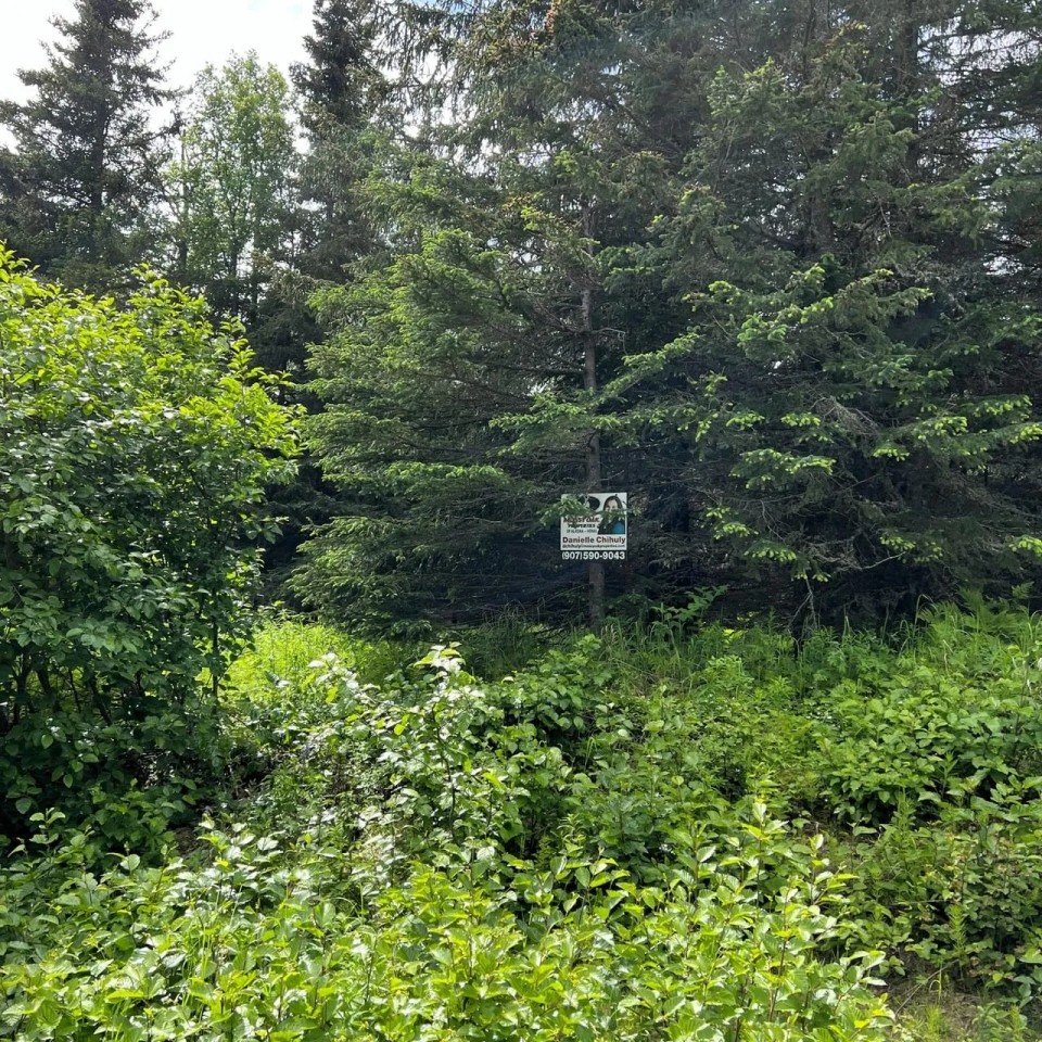 Mountain View Lot in Ninilchik featured image