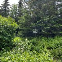 Mountain View Lot in Ninilchik