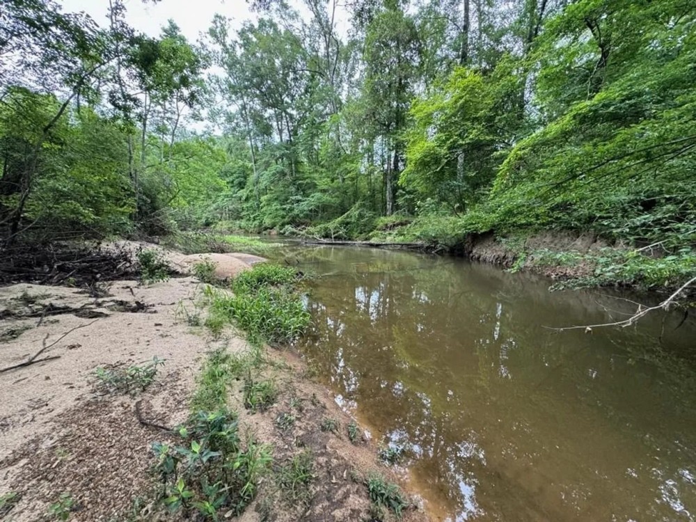 16.14 Acres Tangipahoa River Frontage in SW MS featured image