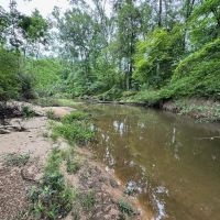 16.14 Acres Tangipahoa River Frontage in SW MS