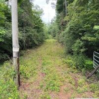 16.14 Acres Tangipahoa River Frontage in SW MS images 2