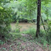 16.14 Acres Tangipahoa River Frontage in SW MS images 3