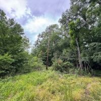 16.14 Acres Tangipahoa River Frontage in SW MS images 4
