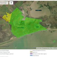 Duck Hunting Big Boggy NWR of 4,526 acres in Southeastern Matagorda, TX