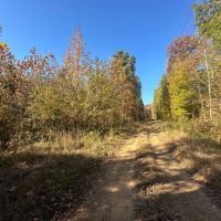 63 - Acres Cabin Hunters Paradise Little Red River Searcy County Marshall Arkansas images 5