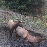 Doc Utterback Ranch images 5