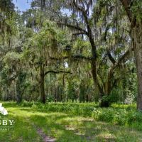 Old Chelsea Homestead images 3
