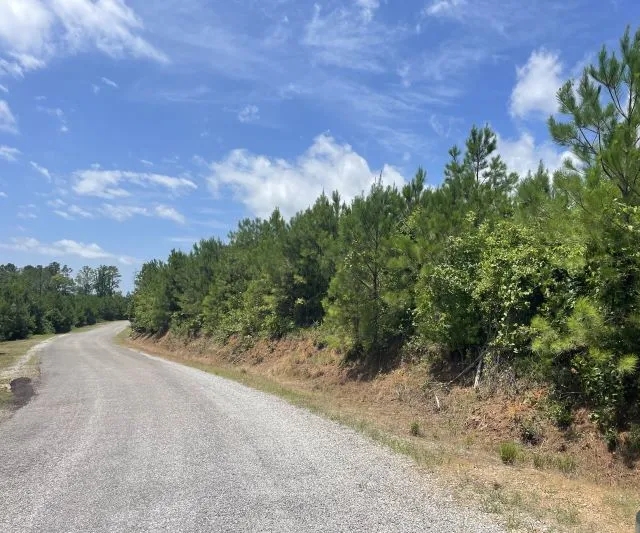 White Springs Tract Hunting Land for Sale