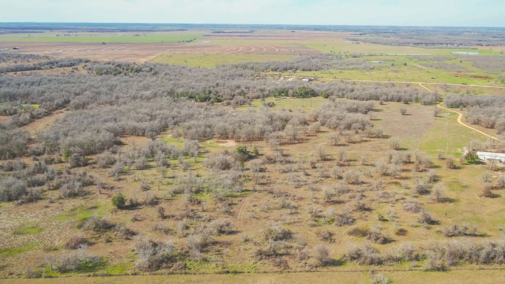 13.5 Acres in Milam County featured image