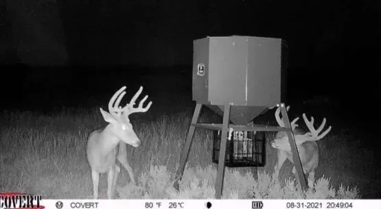 OK - Ellis 463 acres - featured image