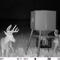 OK - Ellis 463 acres -