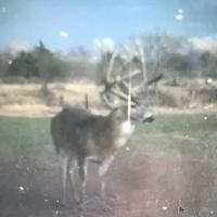 OK - Ellis 463 acres - images 3