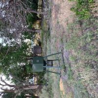 OK - Ellis 463 acres - images 5