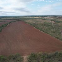 18 - Acres Jones County Tract 5 images 4