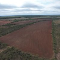 18 - Acres Jones County Tract 5 images 5