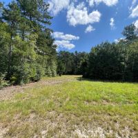 South Side Of Silverthorne Farm images 5