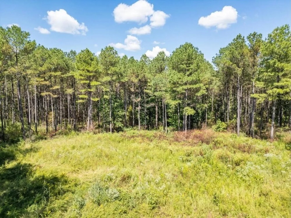 35 Acres For Sale Starkville MS featured image