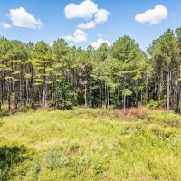 35 Acres For Sale Starkville MS