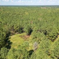 35 Acres For Sale Starkville MS images 3