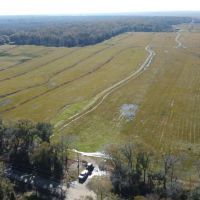 145 - acres Pine Island Dr Abbeville LA 70510 images 3