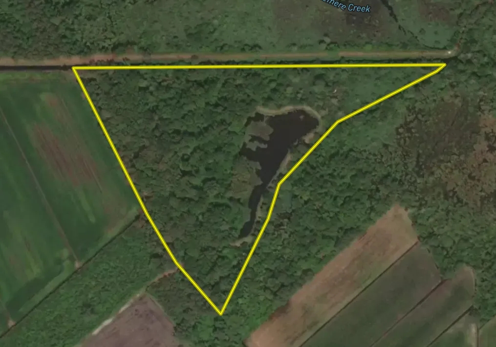 Small Hunting Tract In Eastern North Carolina Hunting Land for Sale