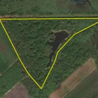 Small Hunting Tract In Eastern North Carolina images 2
